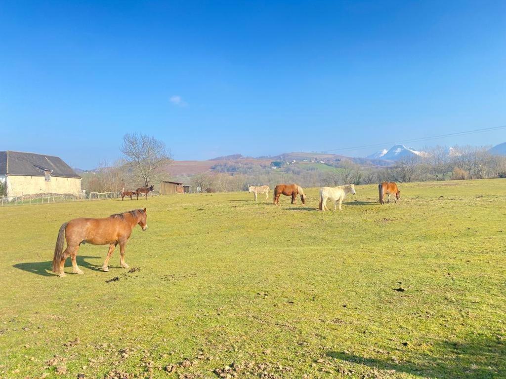 Maison de vacances Pays basque et Béarn - Capacité 14 personnes - Week-end, tourisme, séminaires, stages, réunions Lanne-en-Baretous Exterior foto